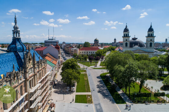 Parcul Central din Satu Mare – o oază verde în inima orașului