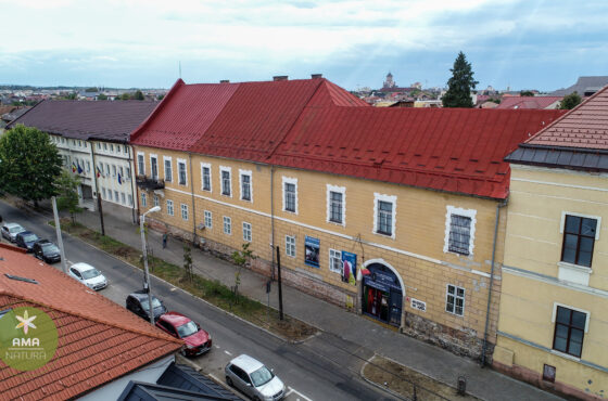 Muzeul de Artă „Centrul Artistic Baia Mare” – Inima culturală a unui oraș cu tradiție artistică