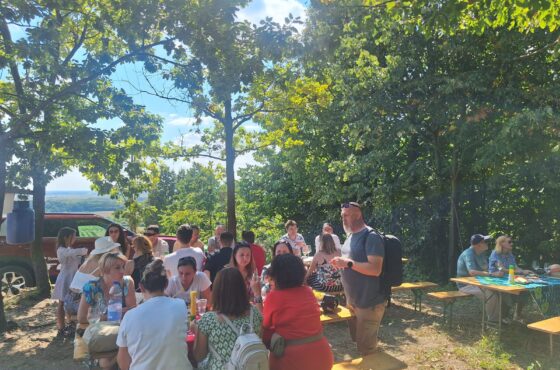 Degustare – vinurile satmarului… Crama Mike, Crama Nastase, Crama Triterra