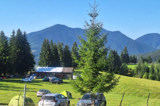 Excursie Via Transilvanica, Tasuleasca, Lacul Colibița, Prundul Bârgăului