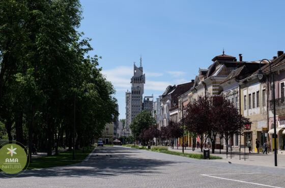 Parcul Central din Satu Mare – o oază verde în inima orașului
