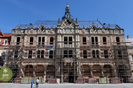 Parcul Central din Satu Mare – o oază verde în inima orașului