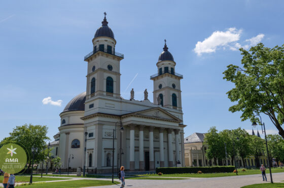 Parcul Central din Satu Mare – o oază verde în inima orașului