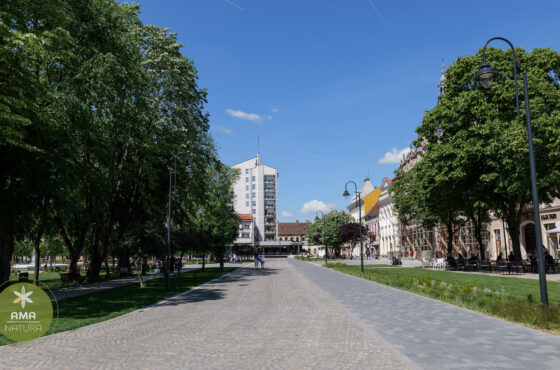 Parcul Central din Satu Mare – o oază verde în inima orașului