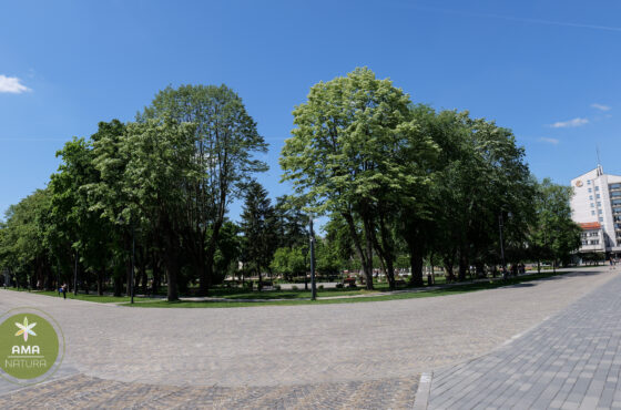 Parcul Central din Satu Mare – o oază verde în inima orașului