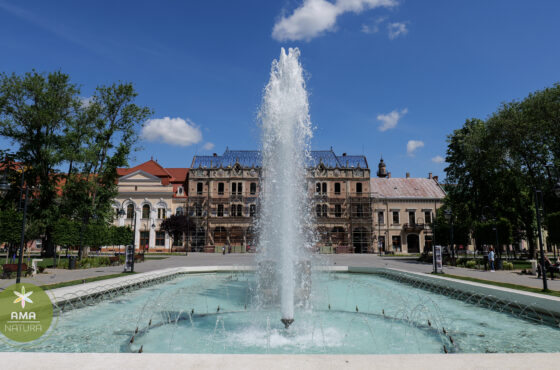 Parcul Central din Satu Mare – o oază verde în inima orașului