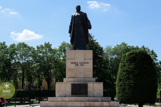 Parcul Central din Satu Mare – o oază verde în inima orașului