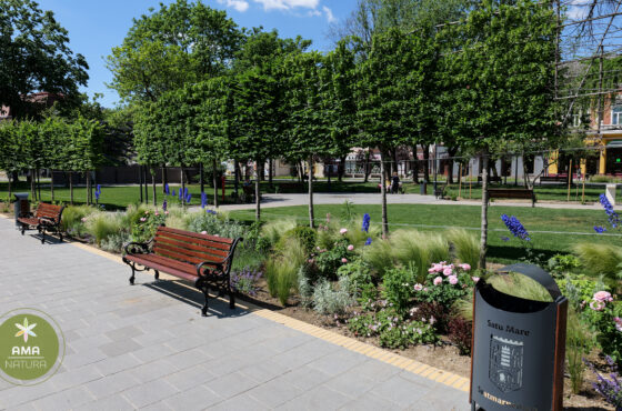Parcul Central din Satu Mare – o oază verde în inima orașului