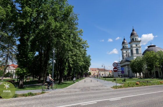 Parcul Central din Satu Mare – o oază verde în inima orașului