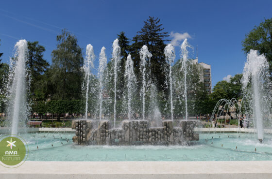 Parcul Central din Satu Mare – o oază verde în inima orașului