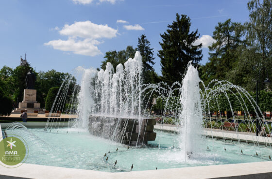 Parcul Central din Satu Mare – o oază verde în inima orașului