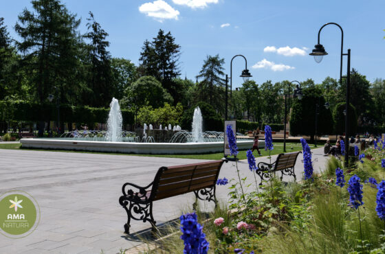 Parcul Central din Satu Mare – o oază verde în inima orașului
