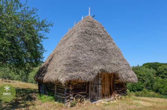 Un colț de Rai în Aspra, Maramureș – șura veche acoperită cu fân