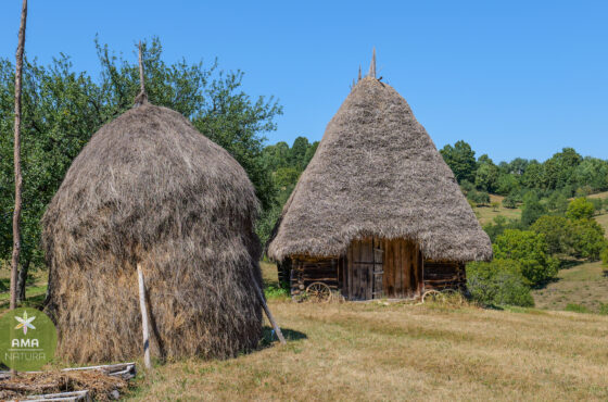 Un colț de Rai în Aspra, Maramureș – șura veche acoperită cu fân