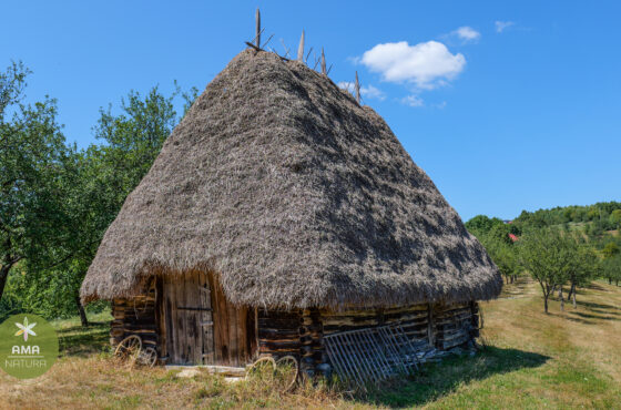 Un colț de Rai în Aspra, Maramureș – șura veche acoperită cu fân
