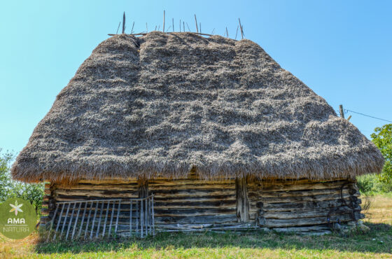 Un colț de Rai în Aspra, Maramureș – șura veche acoperită cu fân