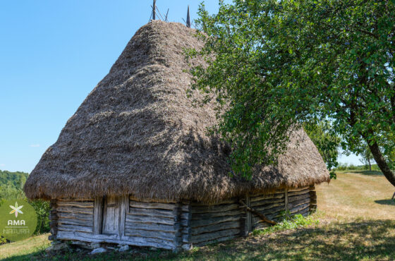 Un colț de Rai în Aspra, Maramureș – șura veche acoperită cu fân