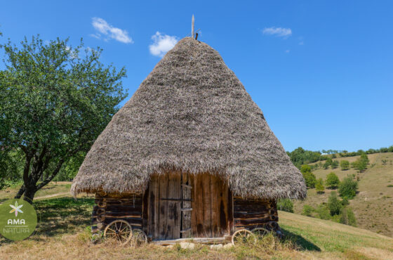 Un colț de Rai în Aspra, Maramureș – șura veche acoperită cu fân