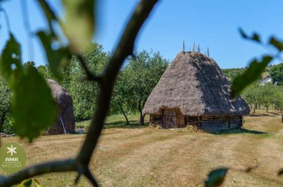 Un colț de Rai în Aspra, Maramureș – șura veche acoperită cu fân