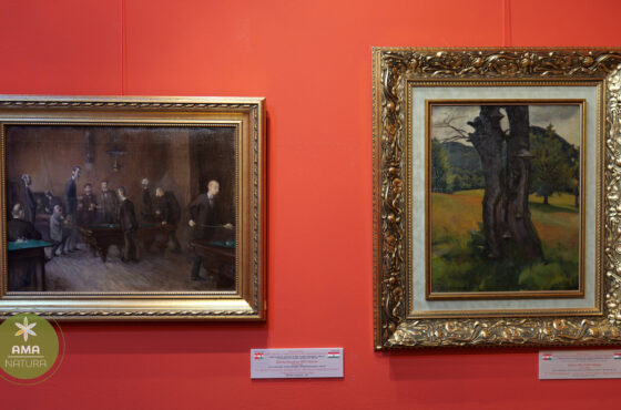 Muzeul de Artă „Centrul Artistic Baia Mare” – Inima culturală a unui oraș cu tradiție artistică