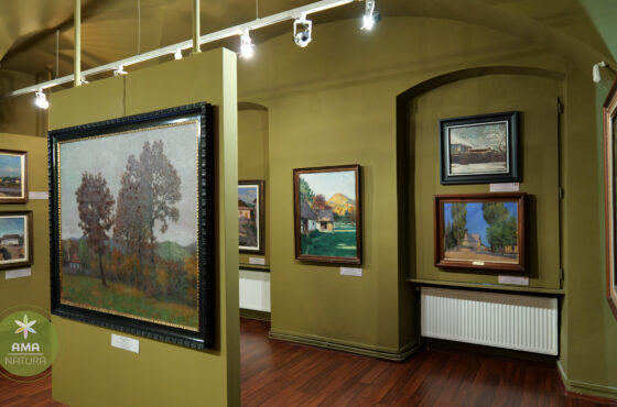 Muzeul de Artă „Centrul Artistic Baia Mare” – Inima culturală a unui oraș cu tradiție artistică