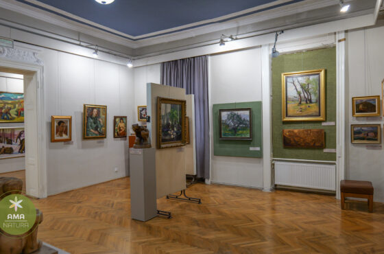 Muzeul de Artă „Centrul Artistic Baia Mare” – Inima culturală a unui oraș cu tradiție artistică