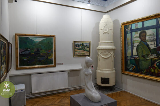 Muzeul de Artă „Centrul Artistic Baia Mare” – Inima culturală a unui oraș cu tradiție artistică