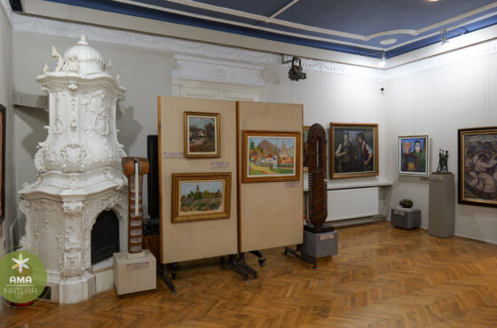 Muzeul de Artă „Centrul Artistic Baia Mare” – Inima culturală a unui oraș cu tradiție artistică