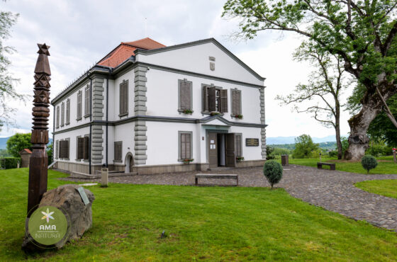Castelul Teleki - Muzeul Petőfi Sándor - Coltău, Maramureș