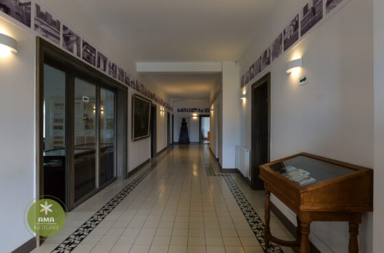 Castelul Teleki - Muzeul Petőfi Sándor - Coltău, Maramureș