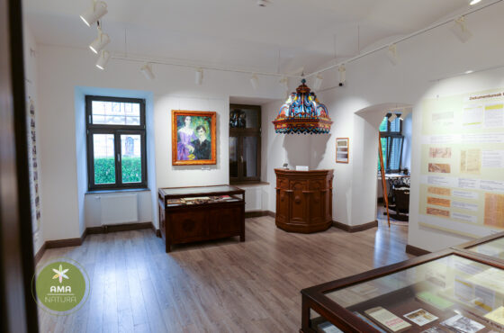 Castelul Teleki - Muzeul Petőfi Sándor - Coltău, Maramureș