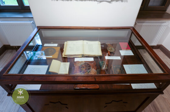 Castelul Teleki - Muzeul Petőfi Sándor - Coltău, Maramureș