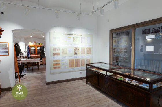 Castelul Teleki - Muzeul Petőfi Sándor - Coltău, Maramureș