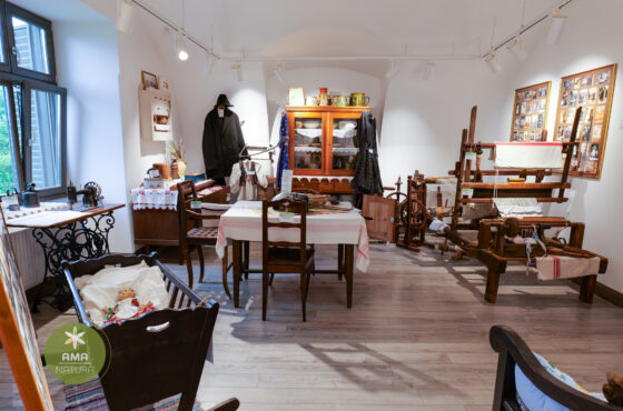 Castelul Teleki - Muzeul Petőfi Sándor - Coltău, Maramureș