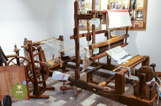 Castelul Teleki - Muzeul Petőfi Sándor - Coltău, Maramureș