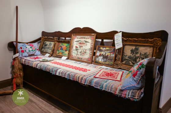 Castelul Teleki - Muzeul Petőfi Sándor - Coltău, Maramureș