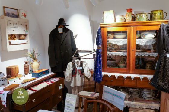 Castelul Teleki - Muzeul Petőfi Sándor - Coltău, Maramureș