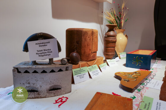 Castelul Teleki - Muzeul Petőfi Sándor - Coltău, Maramureș