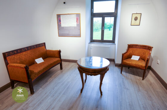 Castelul Teleki - Muzeul Petőfi Sándor - Coltău, Maramureș