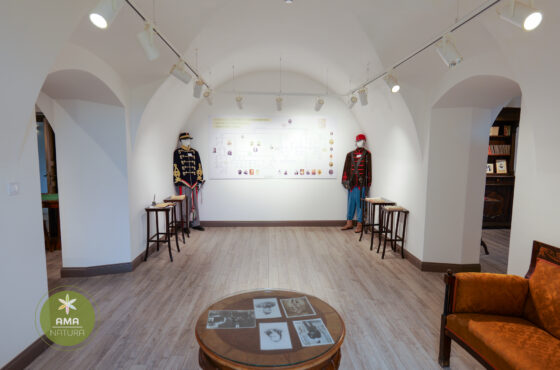 Castelul Teleki - Muzeul Petőfi Sándor - Coltău, Maramureș