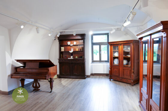 Castelul Teleki - Muzeul Petőfi Sándor - Coltău, Maramureș