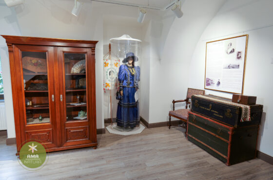 Castelul Teleki - Muzeul Petőfi Sándor - Coltău, Maramureș