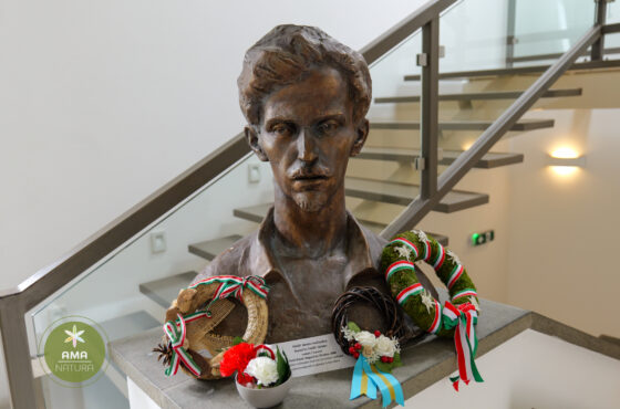 Castelul Teleki - Muzeul Petőfi Sándor - Coltău, Maramureș