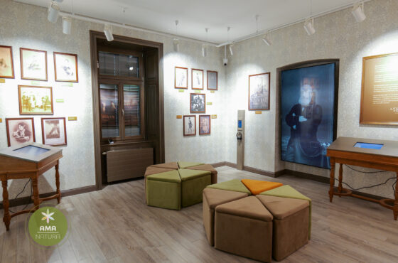 Castelul Teleki - Muzeul Petőfi Sándor - Coltău, Maramureș