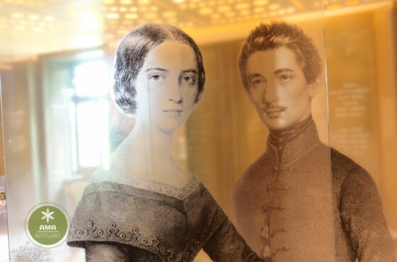 Castelul Teleki - Muzeul Petőfi Sándor - Coltău, Maramureș