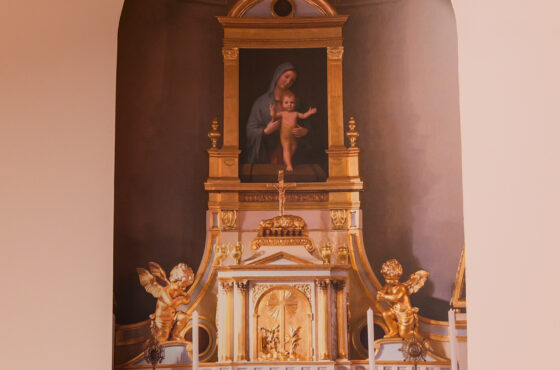 Castelul Teleki - Muzeul Petőfi Sándor - Coltău, Maramureș