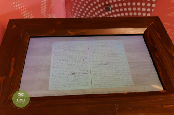 Castelul Teleki - Muzeul Petőfi Sándor - Coltău, Maramureș