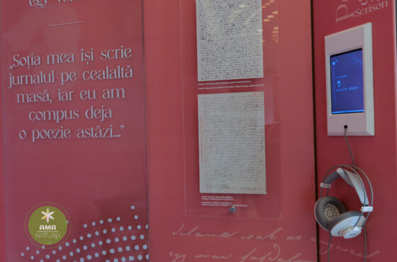 Castelul Teleki - Muzeul Petőfi Sándor - Coltău, Maramureș