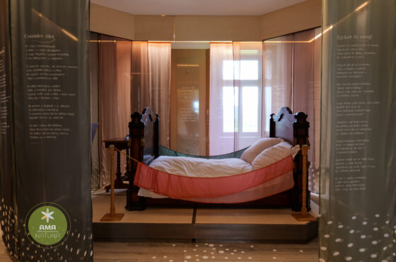 Castelul Teleki - Muzeul Petőfi Sándor - Coltău, Maramureș