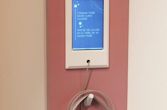 Castelul Teleki - Muzeul Petőfi Sándor - Coltău, Maramureș